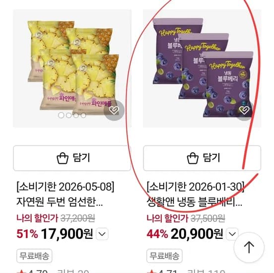 자연원 냉동과일 채소