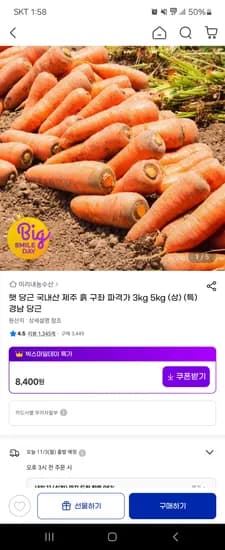 햇 당근 국내산 제주 흙 구좌 3kg 상