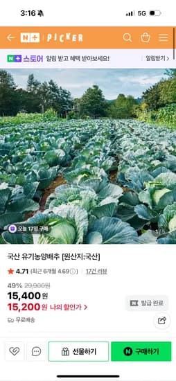 픽커 유기농 양배추 7통 15kg이상