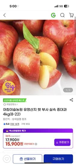 햇 부사 사과 실속 중대과 4kg