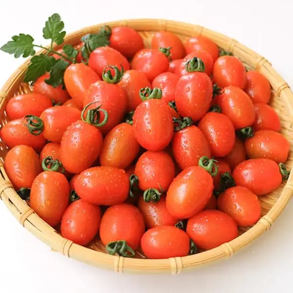 국내산 대추방울토마토 2kg 소과