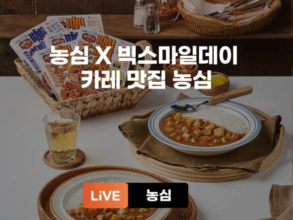 농심 하우스 바몬드 카레 순한맛 2개 약간매운맛 2개