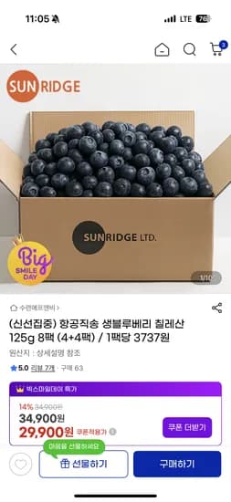 칠레산 생블루베리 125g 4+4팩