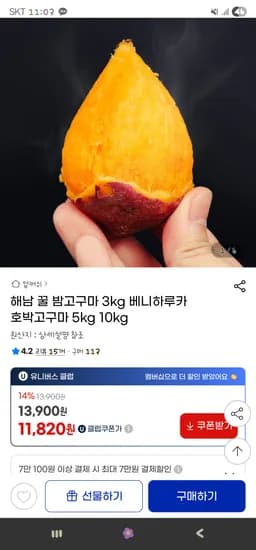 해남 꿀밤고구마 3kg 대