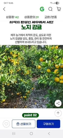 제주 감귤 가정용 중대과 9kg