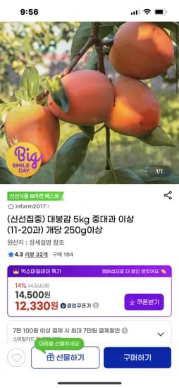 대봉감 5kg 중대과