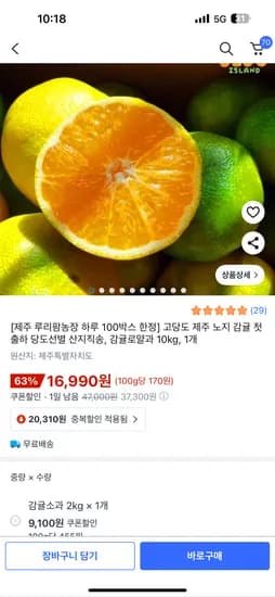 고당도 제주 노지 감귤 10kg
