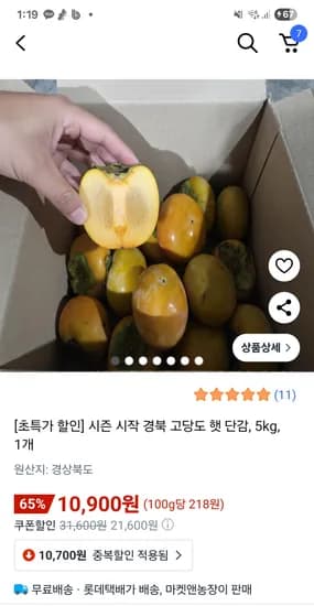햇 단감 5kg