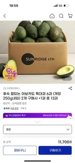 빅스 아보카도 특대과 6개