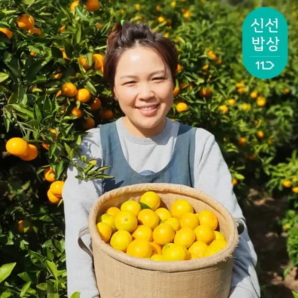 제주산 극조생 노지감귤 5kg 대과