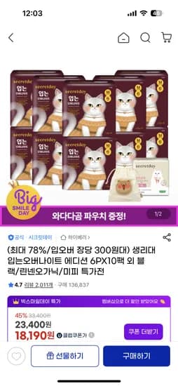시크릿데이 입는오버나이트 10팩