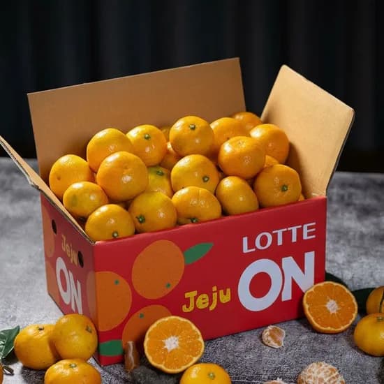 제주 타이벡 감귤 4.5kg 로얄과 프리미엄과 소과