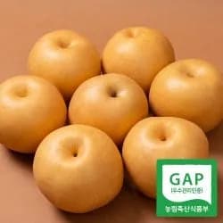 GAP인증 나주배 5kg 8-9과