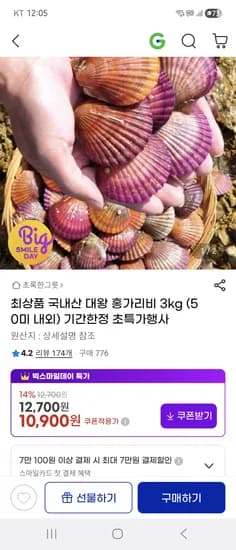 국내산 홍가리비 3kg (큰사이즈, 50미 내외)