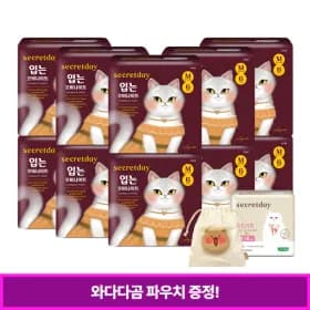 입는오버나이트 6개입 10팩 22,500원