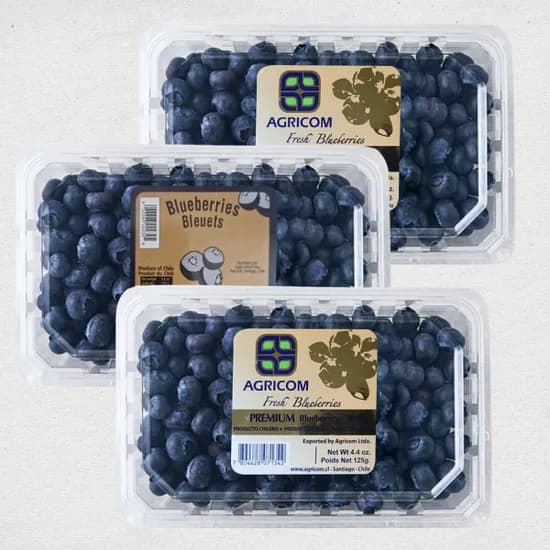칠레산 생블루베리 3팩 (총 930g)