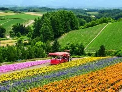 북해도 3박4일 (온천2박) 노팁 자유여행 808,300원