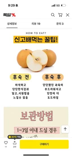 나주 신고배 5kg 8-12과