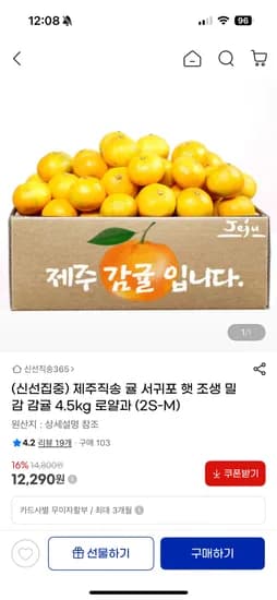 서귀포 햇 조생 감귤 4.5kg 로열과