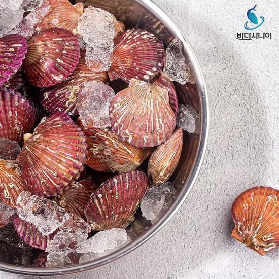 통영 홍가리비 3kg 외 다양