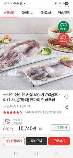 국내산 손질 오징어 750g (3마리)
