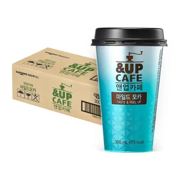 앤업카페 모카 10개