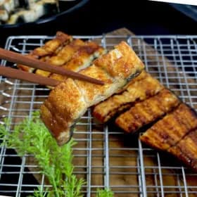 국내산 자포니카 민물장어 손질장어 1kg (손질후 700g 내외)