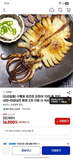 구룡포 반건조 오징어 10미 총 700g 내외