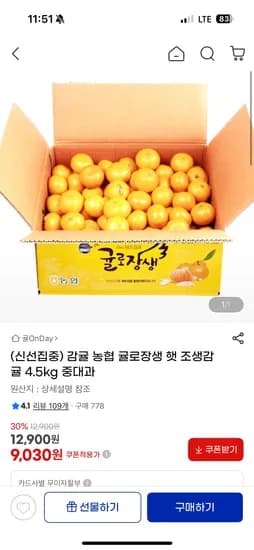 농협 귤로장생 햇 조생감귤 4.5kg 중대과