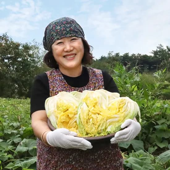 과일꾼 해남 절임배추 20kg