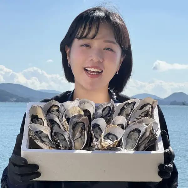통영 햇 생굴 1kg