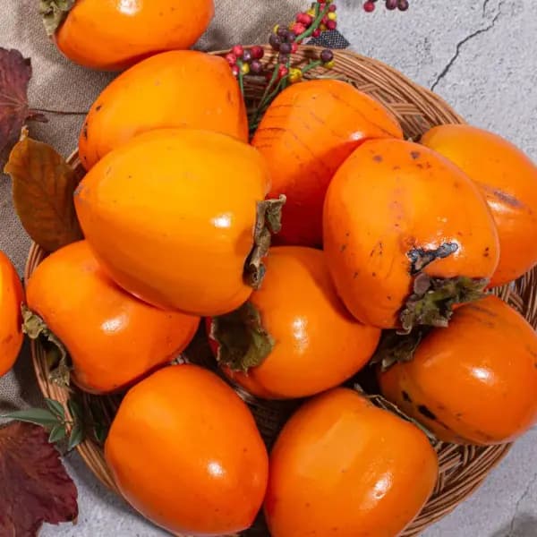 후숙 대봉감 5kg