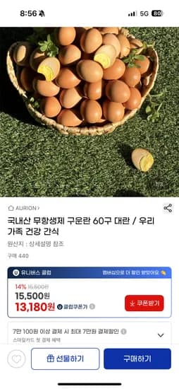 국내산 무항생제 대란 60구