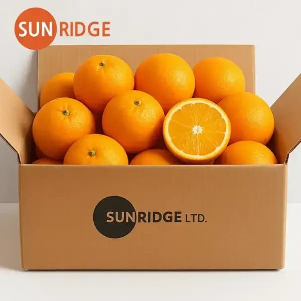 호주산 네이블 오렌지 특대과 4kg