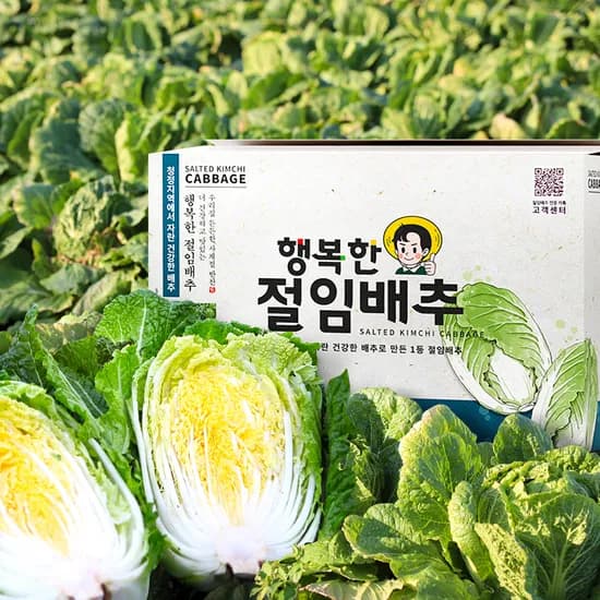 강원도 고랭지 절임배추 20kg