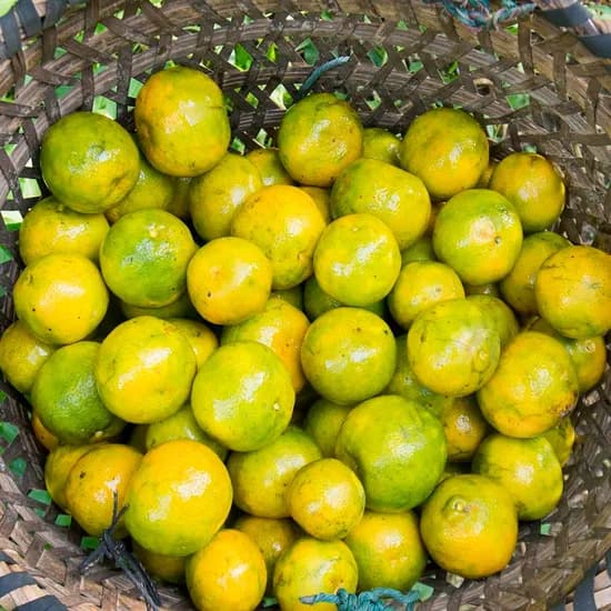 제주 극조생 노지감귤 4.5kg (s-m)