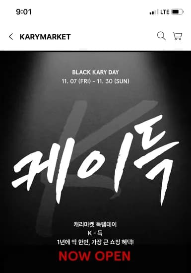 누누누 실버 다운자켓 페이코