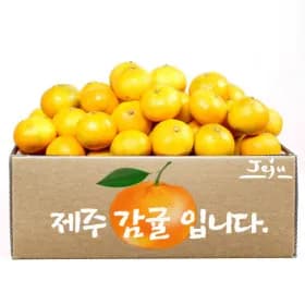 제주직송 귤 서귀포 햇 조생 밀감 감귤 4.5kg 중대과