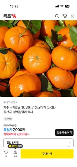 제주 노지감귤 10kg 대과