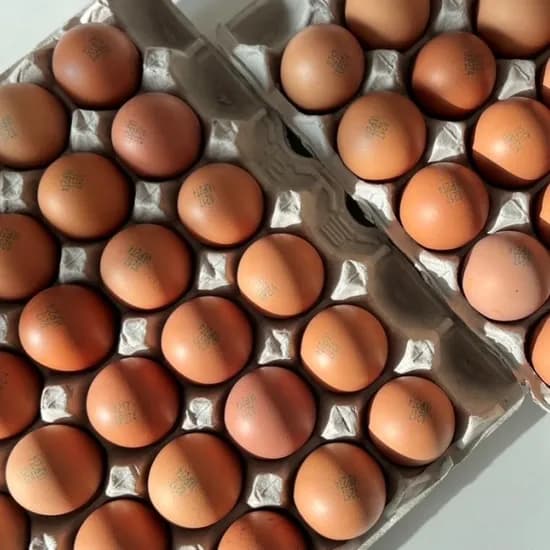 과일꾼 구운란 30구