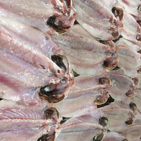 반건조 농어 2미 1kg 내외