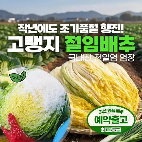 괴산 절임배추 20kg