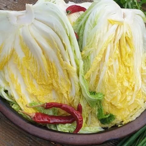해남 절임배추 20kg