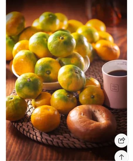 문가네 서가네 제주 햇 조생감귤 노지감귤 3kg 중대과