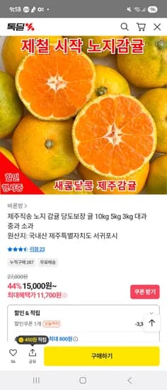 노지감귤 10kg