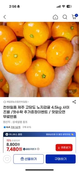 제주 고당도 노지감귤 4.5kg 중대과
