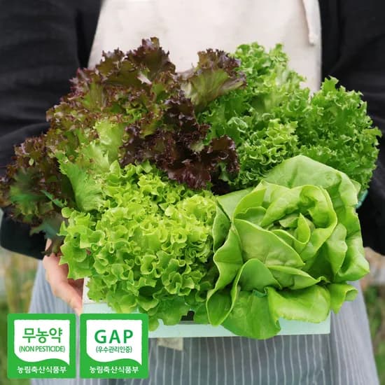 장보남 무농약 유러피안 샐러드 채소 1kg (3~5종)