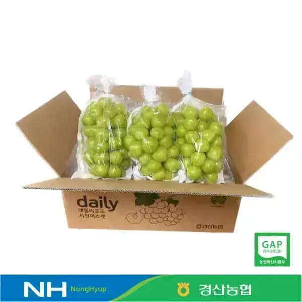 샤인머스캣 1.5kg 6900