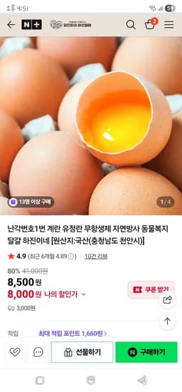난각번호1번 무항생제 자연방사 유정란 20구