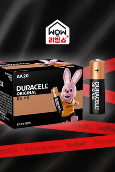 듀라셀 알카라인 AA 20개